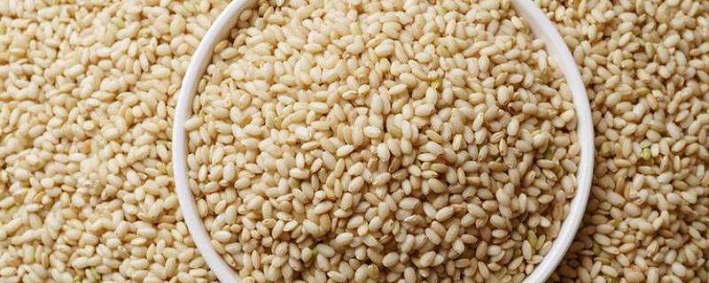什么是糙米 什么是糙米图片