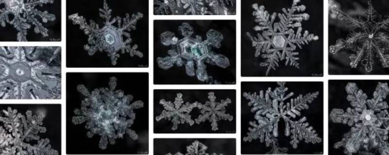 雪花是晶体吗 雪花是晶体吗为什么