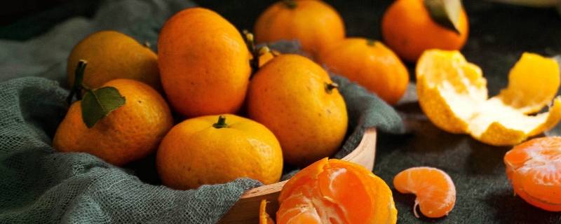 橘子可以做成什么 橘子可以做成什么食品