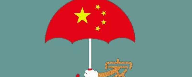 家与国的关系 家与国的关系作文