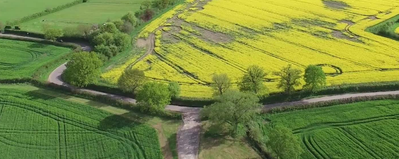 批而未供土地是怎回事（什么是批而未供土地）