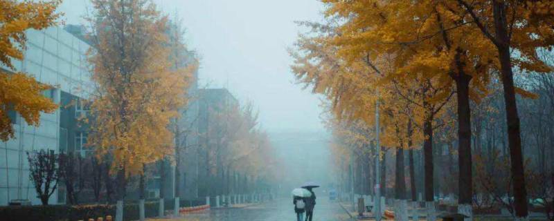 秋天雨多冬天会雪多吗（秋雨多冬天的雪就多吗?）