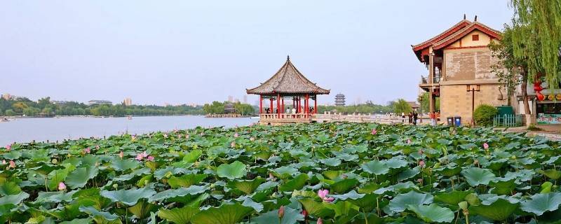 大明湖离哪个火车站近（火车站大明湖站在哪）