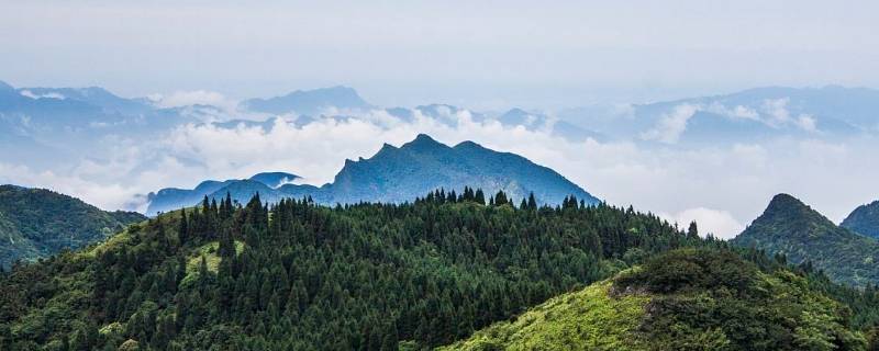 武陵山海拔高度多少米（武陵山脉海拔多少米）