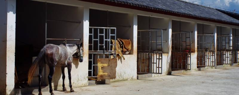 马住的地方叫什么（马住的地方叫什么?）