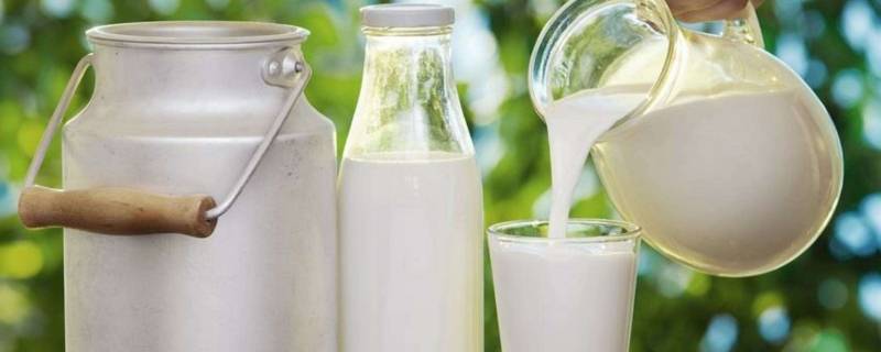 生牛乳和纯牛奶有什么区别 纯牛乳和生牛乳有什么区别?