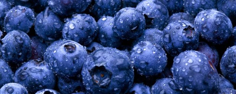 11月份有蓝莓吗 11月份是吃蓝莓的季节吗
