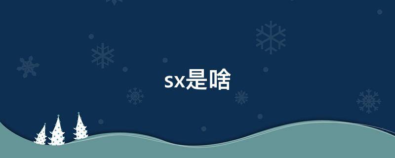 sx是啥 xlsx是啥