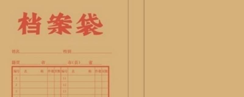 档案里有什么（大学档案里有什么）