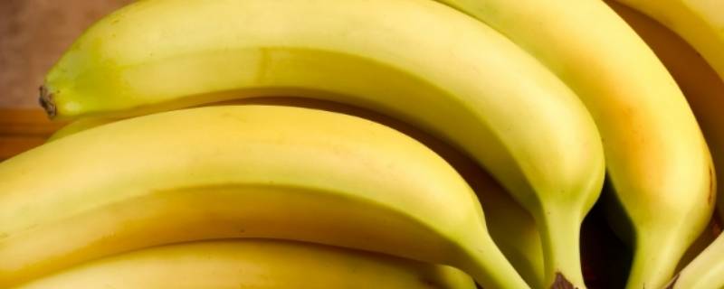 香蕉是水果吗（香蕉是水果吗幼儿问题）