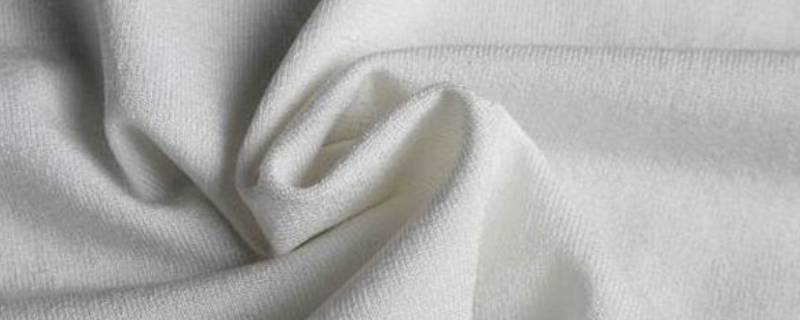 棉纶属于什么类型的纤维（棉纤维和棉纶的区别）