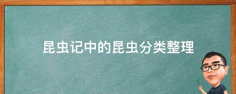 昆虫记中的昆虫分类整理 昆虫记昆虫归纳