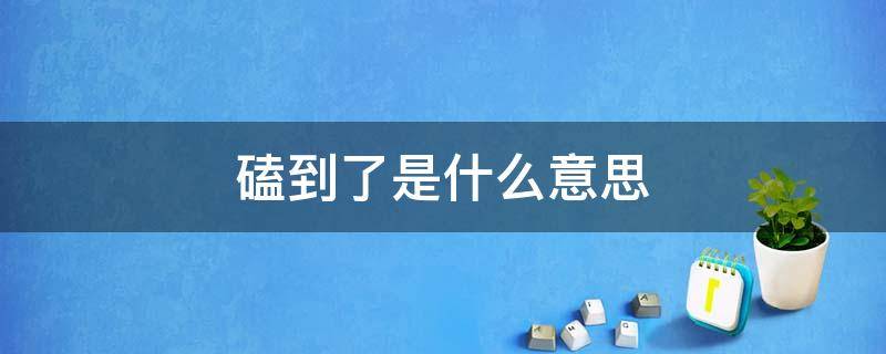 磕到了是什么意思（磕到了是什么意思网络用语）