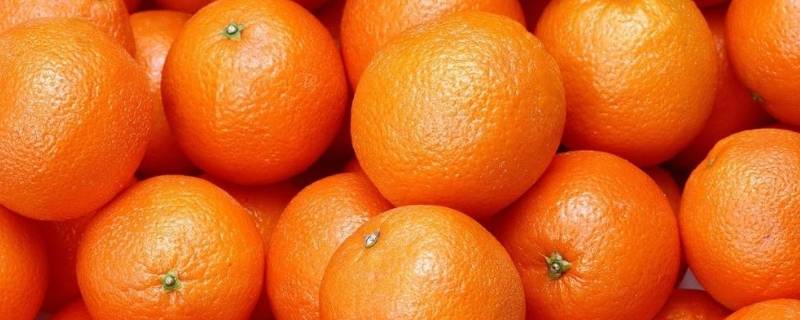 橙子寓意 苹果橙子寓意