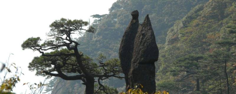 黄山有哪些石头（黄山有哪些石头他们的名字分别叫做什么）