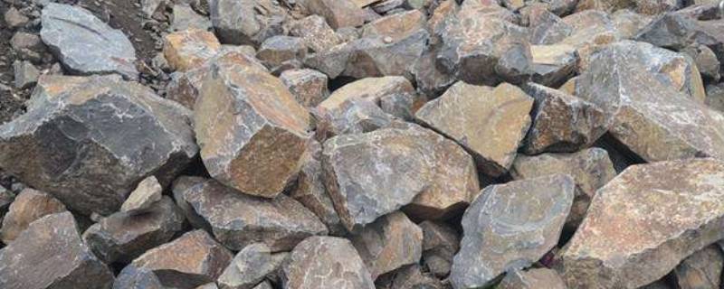 石灰岩属于什么岩 石灰岩属于什么岩石