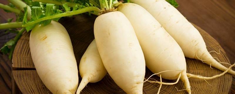 怎样储存萝卜不糠心（萝卜怎么储存才能不糠心,用把根部减掉吗）