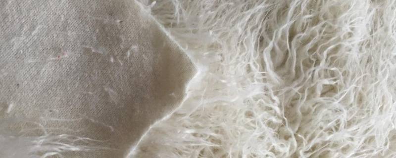 滩羊毛是属于什么毛 什么叫滩羊毛