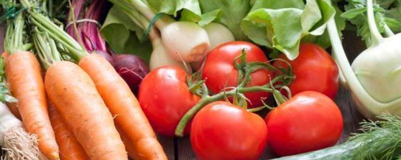容易储存的蔬菜有哪些 哪种蔬菜容易储存