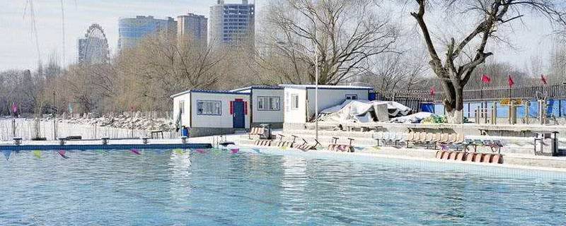 中国的第一所冬泳科研所是哪（中国的第一所冬泳科研所是哪里）