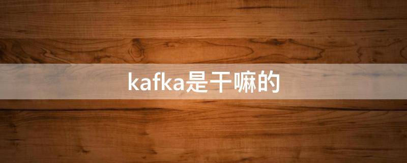 kafka是干嘛的（通俗的讲kafka是干什么的）