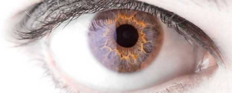 瞳色有多少种 人的瞳色有多少种