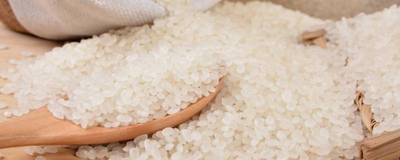 响水贡米是哪里产的（响水大米是贡米吗）