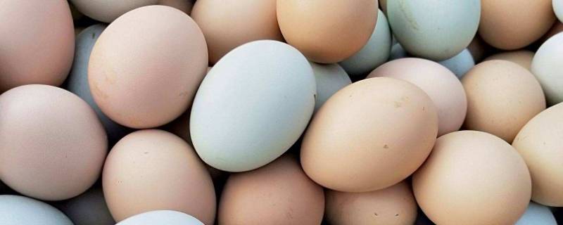 鹅蛋要煮多久才熟 鹅蛋要煮多久才熟透