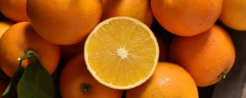 阳光橙是什么橙子 阳光橙是橙子还是桔子
