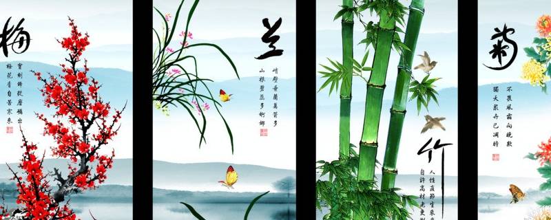 什么梅兰竹菊（什么梅兰竹菊?标准答案）