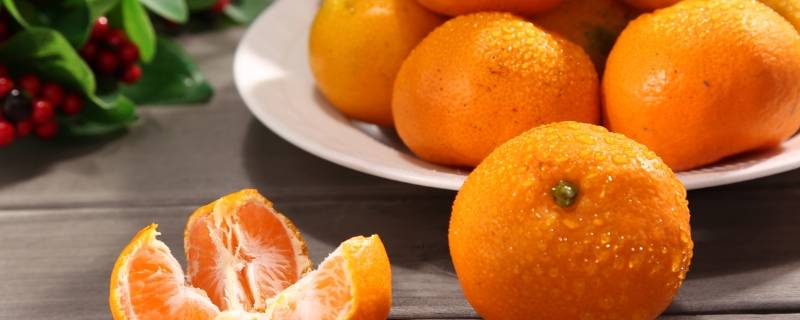 蜜桔和蜜橘有什么区别 蜜桔和蜜橘的区别