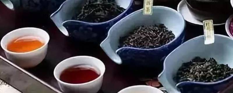 茶的品种有哪些（普洱茶的品种有哪些）