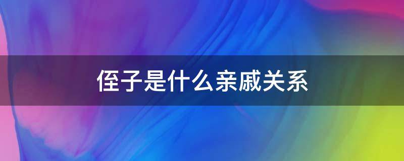 侄子是什么亲戚关系 侄子是亲戚吗