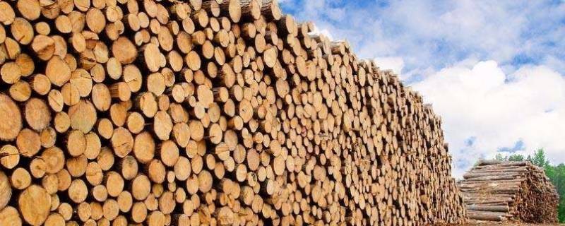 一方木材是多少 一方木材是多少吨
