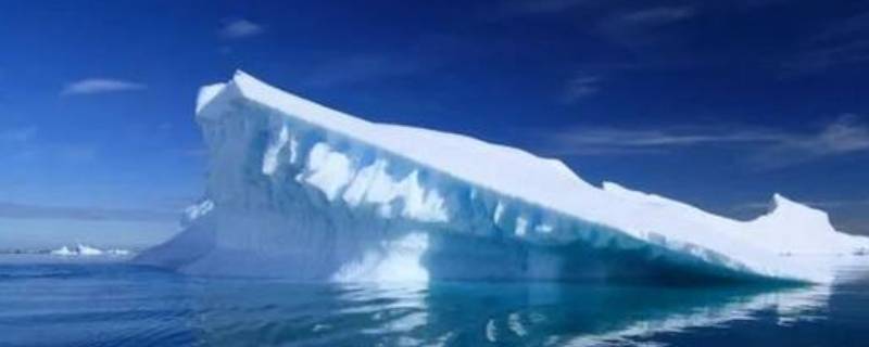 南极西瓜雪是怎么回事 南极的西瓜雪是怎么回事