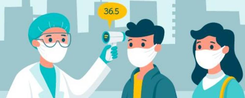 黄码和红码有啥区别 黄码和红码有啥区别图片