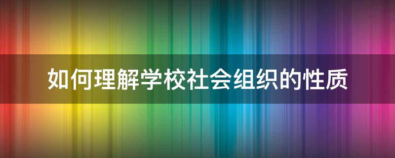 如何理解学校社会组织的性质 学校属于什么社会组织类型