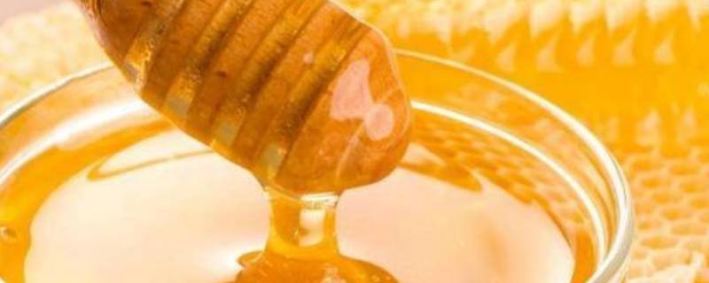 蜂蜜的用途（蜂蜜的用途有哪些）