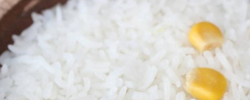 做米饭米和水的比例是多少 做米饭米和水的比例是多少最标准