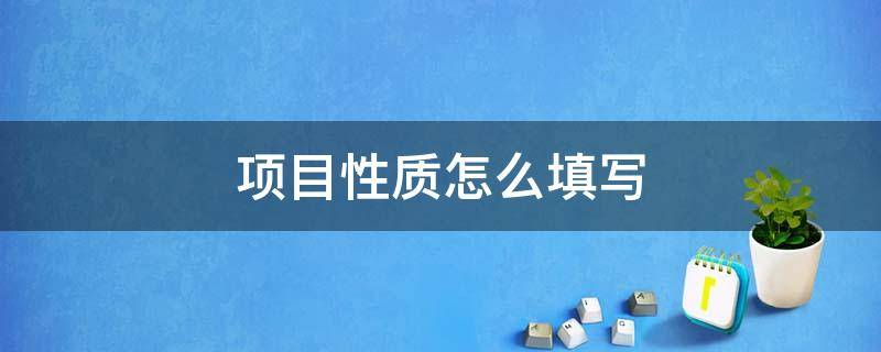 项目性质怎么填写 建筑工程项目性质怎么填写