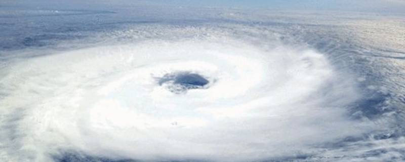 台风的自救和怎么躲避 如何预防台风及自救知识