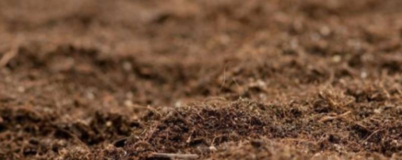 土中的有机质 土中的有机质指什么元素