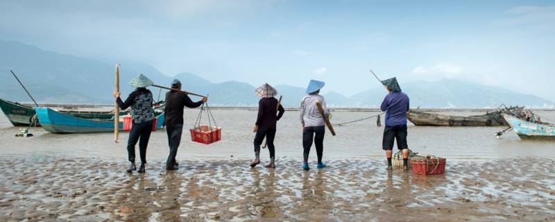 中潮和小潮不适合赶海吗 什么是中潮,中潮适合赶海吗