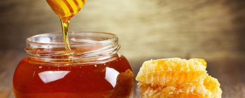 野生蜜蜂几月份可以取蜜（野生蜜蜂什么时候取蜜最多）