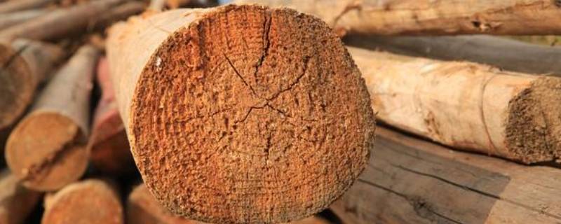 干木材是绝缘体吗 干木头属于绝缘体吗