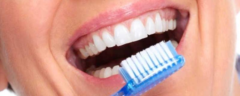 牙齿的用处和怎么保护（保护牙齿作用）