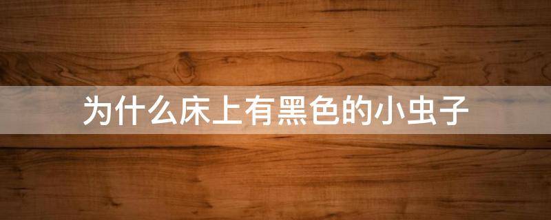 为什么床上有黑色的小虫子 为什么床上有黑色的小虫子像蝎子