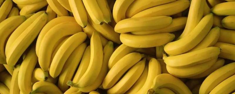 香蕉买回来是绿的怎么办 买的香蕉是绿的怎么变黄