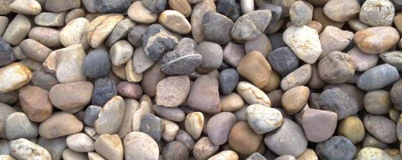 鹅卵石是什么岩石（鹅卵石一般是什么岩石）