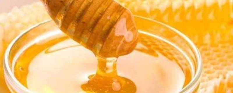 纯正蜂蜜怎么辨别 纯蜂蜜的辨别方法